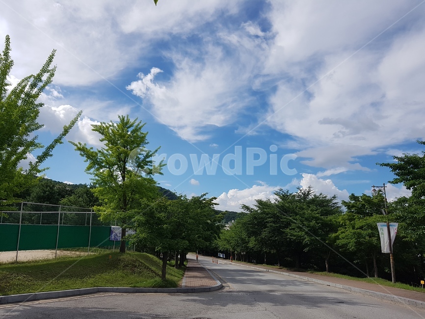 road,도로,하늘,옥외,outdoors,nature,자연,asphalt,sky,구름,cloud,날씨,weather