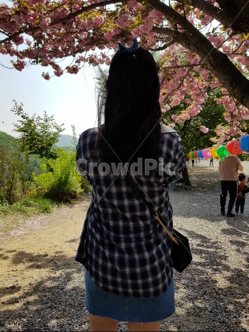 벚꽃나무,cherryblossom,여자,뒷모습,청치마,봄나들이,힐링,휴식,집근처,절