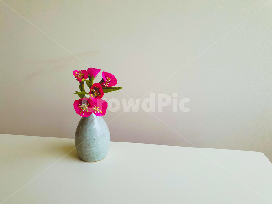 plant,식물,pottery,도기류,이케바나,ikebana,flowerarrangement,꽃꽂이,jar,항아리,ornament,장식,blossom,병장식,vase,미술,art,꽃,꽃,flower,기념일,축하,anniversary,congratulation,celebrate,celebration