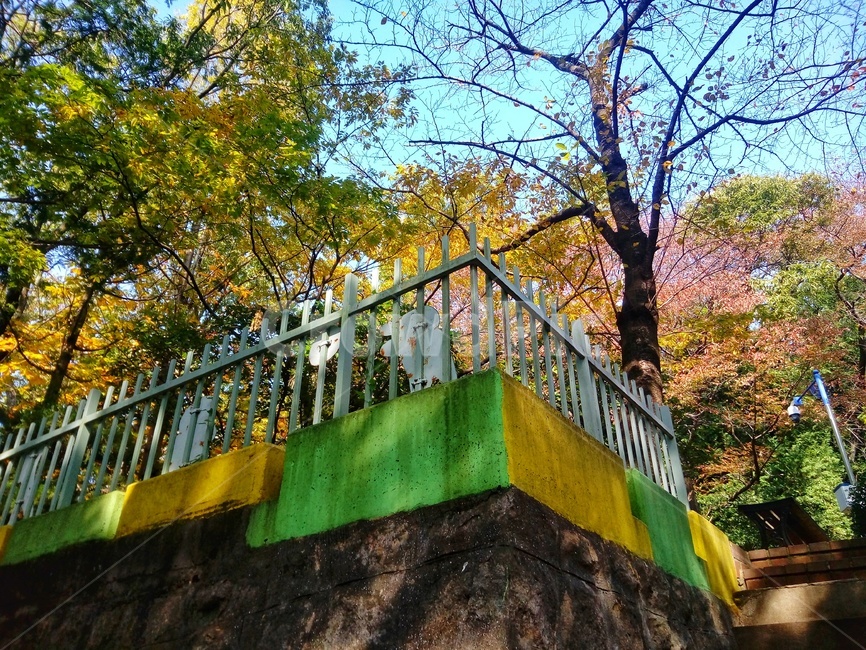 난간,railing,단풍,어린이대공원,성지곡수원지