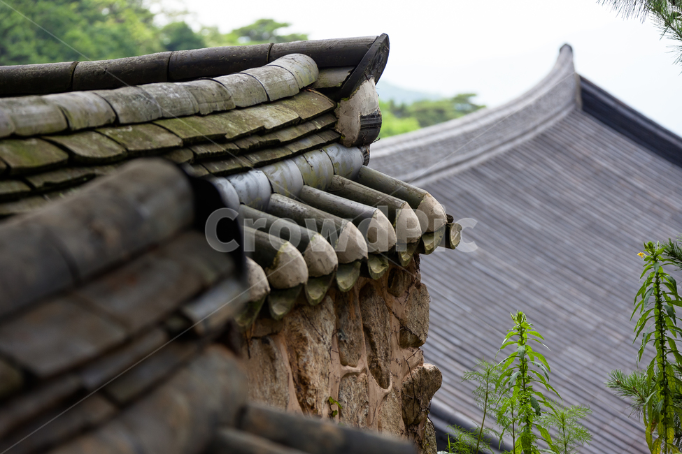 축서사,기와,지붕,불교,종교,봉화,한국전통,한국문화,korean traditional,korean culture,건축물,건물외관,exterior,building,structure,architecture,construction