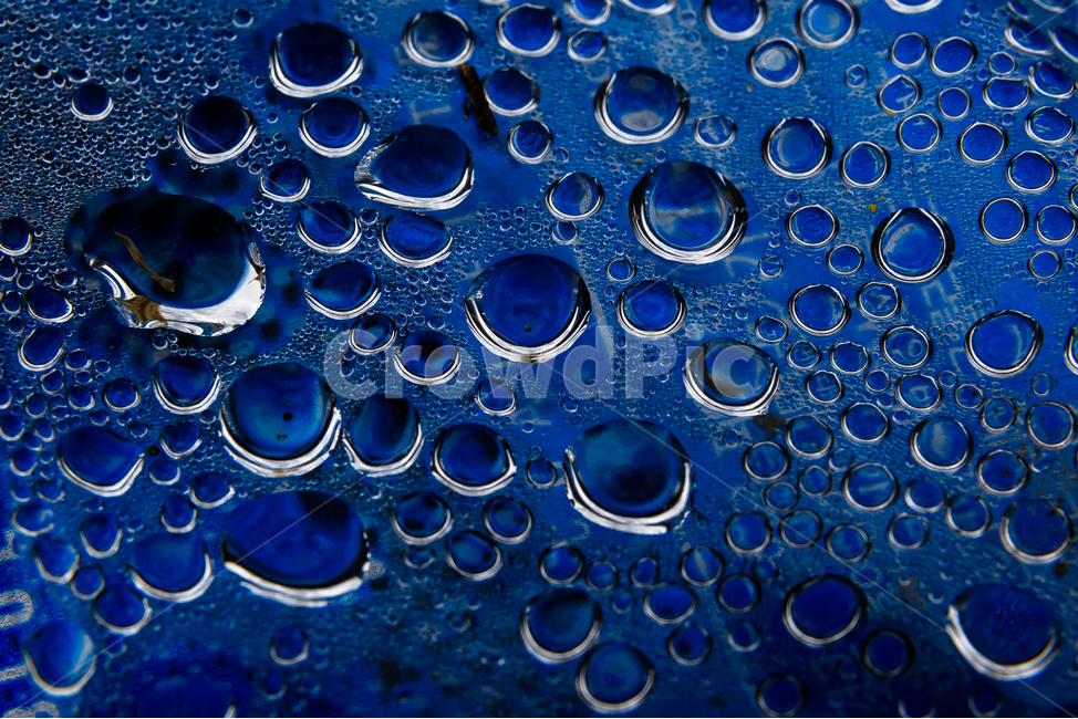 water drop,blue,light,cuteness,Moist,cold,dawn