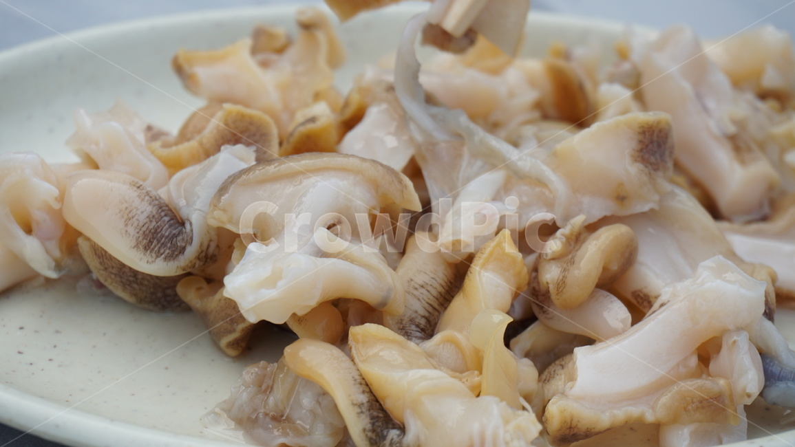음식,비투리,비투리회,회,food,음식,식재료,요리,food,cook,meal,dishes,food reserves