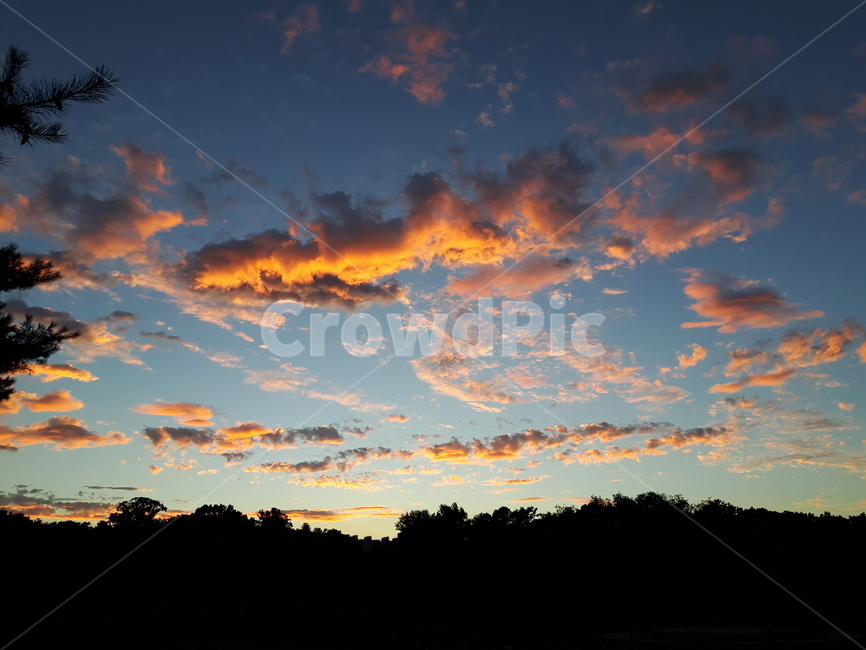 하늘,구름,나무,풍경,자연,자연,풍경,nature,landscape,outdoors,옥외,sky