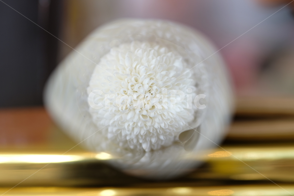 꽃,flower,아련,아늑,식물,자연,nature,축하,깨끗,향기,꽃,flower