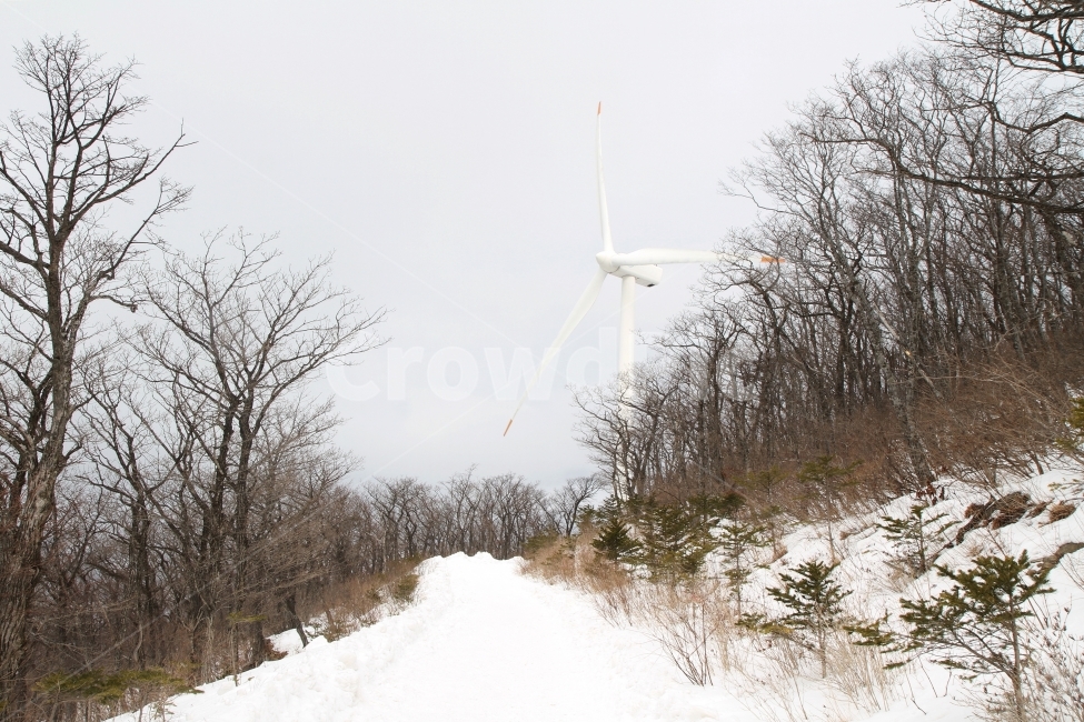 겨울풍경,설경,눈길,풍력발전기,자연,산길,감성,겨울,계절,winter,season,자연,풍경,nature,landscape,한국자연풍경,한국자연경관,korea nature landscape,산업,industry,industrial,에너지산업,energy industry,machine,기계,engine,엔진,motor,모터