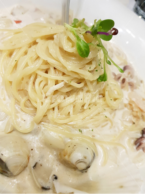 까르보나라,해물크림파스타,파스타,음식,스파게티,크림스파게티,food,noodle,pasta,면요리,누들,플레이팅,플래이팅,데코레이션