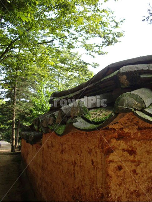 민속촌,민속마을,담장,한국전통,전통,전통마을,한국문화,보존,한국의미,옛마을,village,nature,plant,자연,풍경,식물,주거지,korean,traditional,culture,나무,지붕,roof,기와