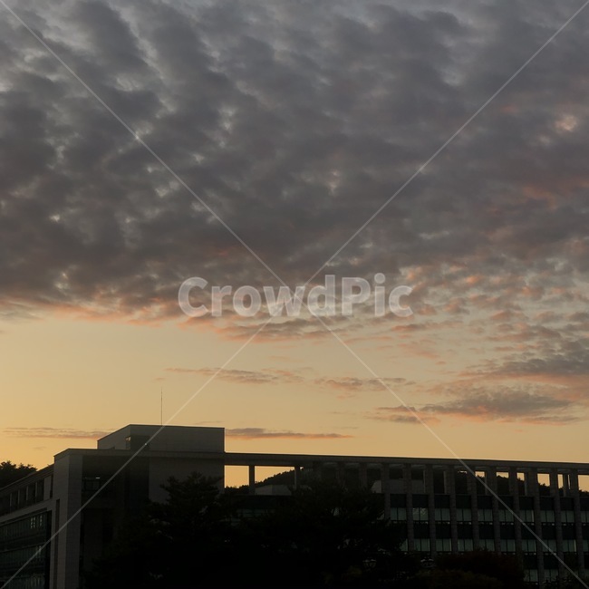 nature,자연,outdoors,sky,하늘,노을,구름,sunset