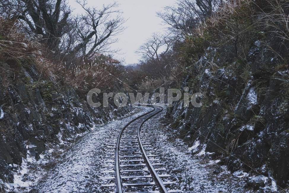 철길,곶자왈,제주도,자연,철로,겨울,차가움,rail,cold