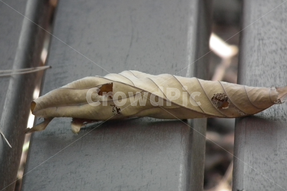 가을,낙엽,벤치,deciduous,bench