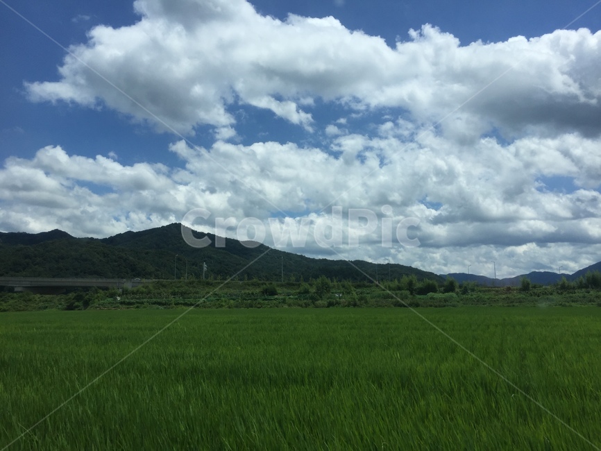 자연,산,들,구름,날씨,nature,자연,풍경,nature,landscape,outdoors,옥외,field,grassland,목초지,weather