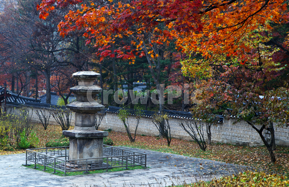 가을,단풍,붉은색,낙엽,삼층석탑,낙성대,가을,계절,fall,autumn,season,한국전통,한국문화,korean traditional,korean culture,조각상,동상,석상,조형물,statue,bronze statue,stone statue,종교,신앙,religion,belief,faith,tree,나무,plant,식물