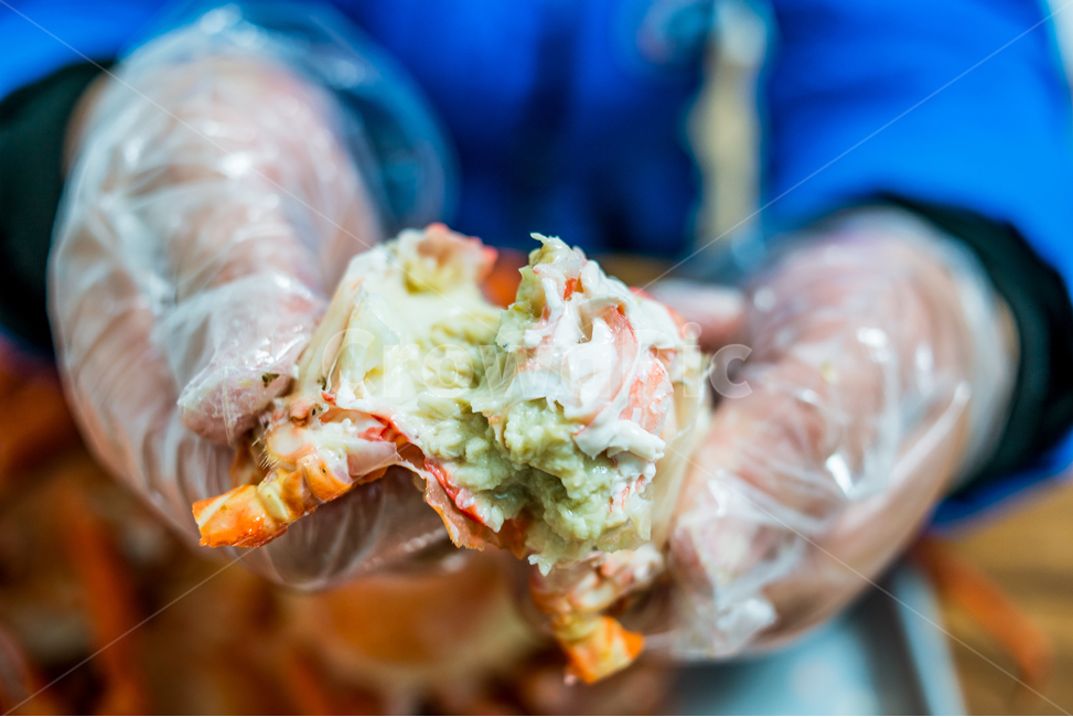 홍게,게,꽃게,랍스터,식품,해물,해산물,홍게찜,크랩,crab,braisedredcrab,redsnowcrab,음식,식재료,요리,food,cook,meal,dishes,food reserves,수산물,해산물,fishery products,seafood