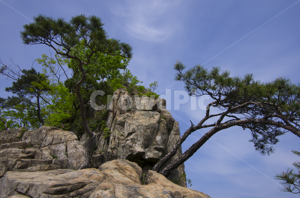 바위,소나무,등산,하늘,블루,scene,view,feeling,emotion,nature,landscape,season,풍경,감정,감성,자연,계절,뷰티,여름,풍경사진,감성사진,정취