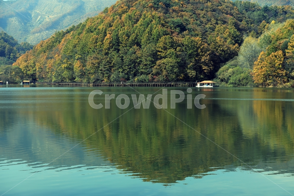 물,호수,자연,저수지,산,단풍,가을,계절,fall,autumn,season,자연,풍경,nature,landscape,한국자연풍경,한국자연경관,korea nature landscape,water,outdoors,옥외,lake