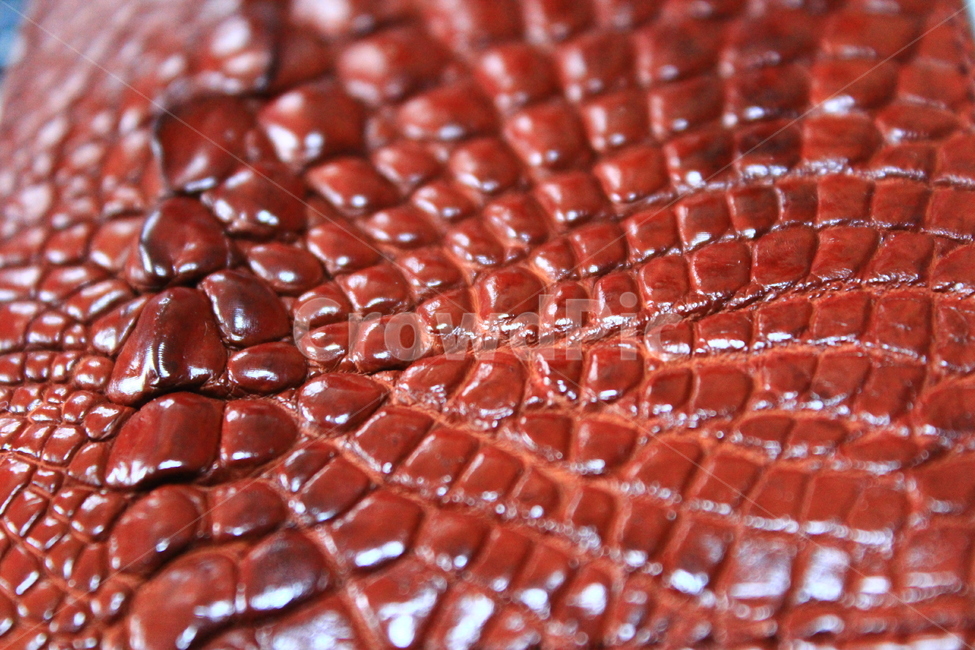 악어가죽,지갑,갈색,가죽,패턴,텍스처,질감,패턴,texture,pattern