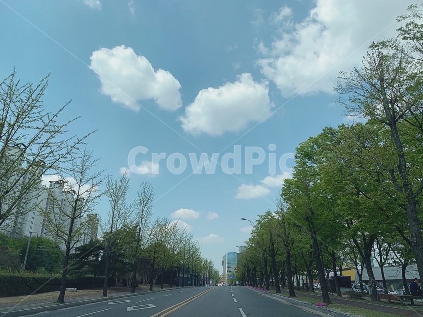 skyview,도로,하늘풍경,감성,풍경,scenery,맑은하늘,구름
