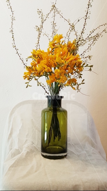 봄,드라이플라워,노랑색,꽃,화병,실내용화초,화분,화초,house plant