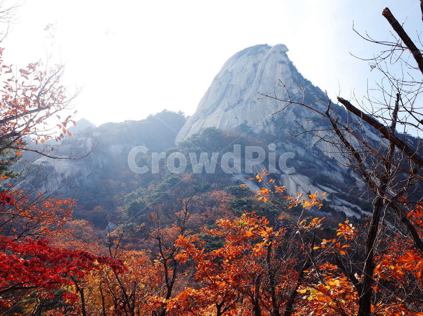 산,북한산,인수봉,등산,경치,풍경,자연,한국,서울,암벽,절벽,단풍,가을,가을,계절,fall,autumn,season