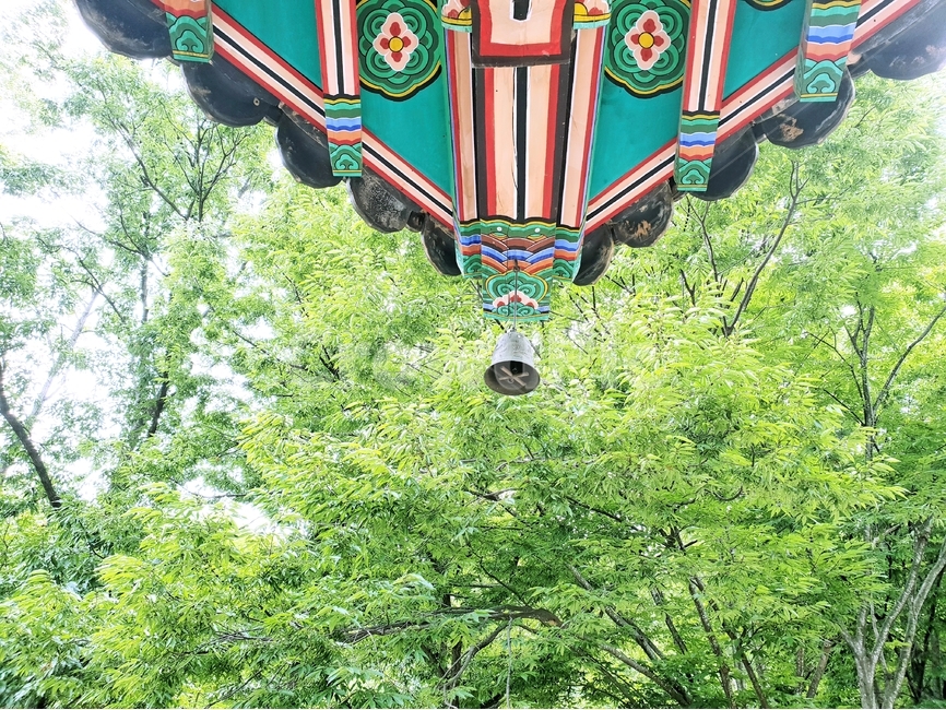 초록,나무,여름,식물,계절,자연,nature,plant,abstract,background,treeleaf,tree,풍경,단청,사찰,처마,절,불교,한국사찰,한국문화,한국전통,한국문화,korean traditional,korean culture,건축물,건물외관,exterior,building,structure,architecture,construction