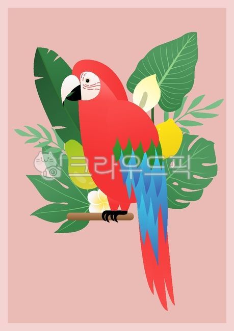 papaya,feather,summer plants,palm,wild animals,red,palm tree,character,botanical,leaves,bird,drawing,season,decoration,banana,floral,tree,decorative,tropical flowers,tropical leaves,monstera,background,plant,animal,banana leaf,tropical plants,jungle,parro