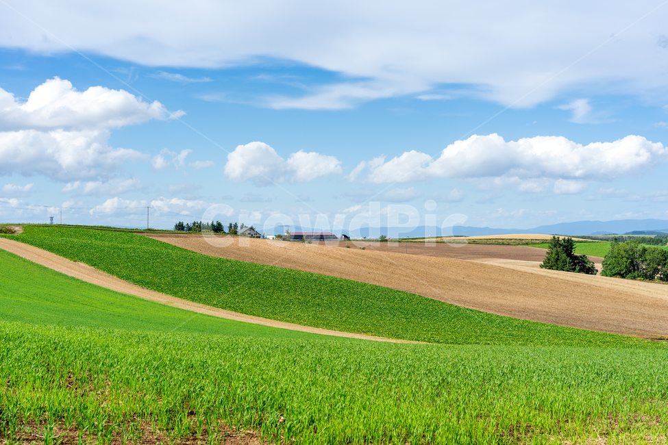하늘,풍경,자연,구름,농촌,전원,비에이,자연,풍경,nature,landscape,시골,마을,country,rural,town,해외,외국,세계,foreign,oversea,world,세계자연풍경,해외자연풍경,외국자연풍경,world nature landscape,outdoors,옥외,field,들