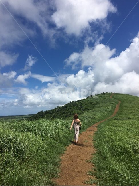 제주도,오름,여자,뒷모습,외로움,등산,운동,경치,자연,그리움,하늘,맑음,여름,여행,단발,길,구름,travel,사람,인물,색채,일몰