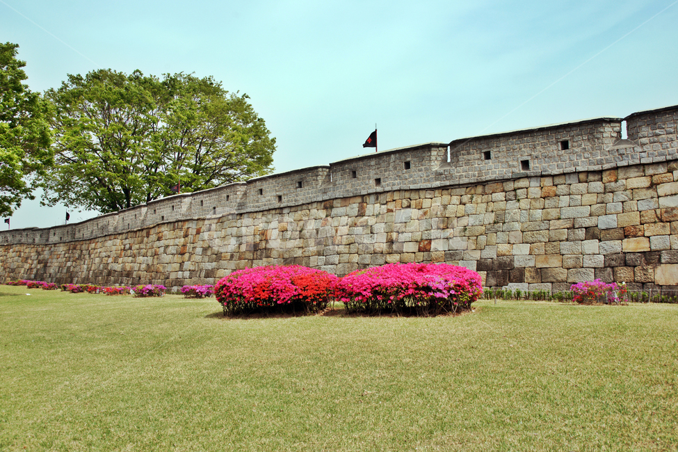 수원화성,화성,수원,성벽,성곽,철쭉,봄,한국전통,한국문화,korean traditional,korean culture,건축물,건물외관,exterior,building,structure,architecture,construction