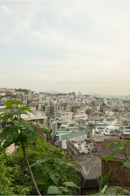 이태원,서울,경치,복잡,주택,집,건물,인구밀도,cityview,따닥따닥,오밀조밀,인구과다,도시,도시,풍경,city,landscape,한국도시풍경,한국도시경관,korea cityscape,nature,자연,outdoors,옥외,scenery