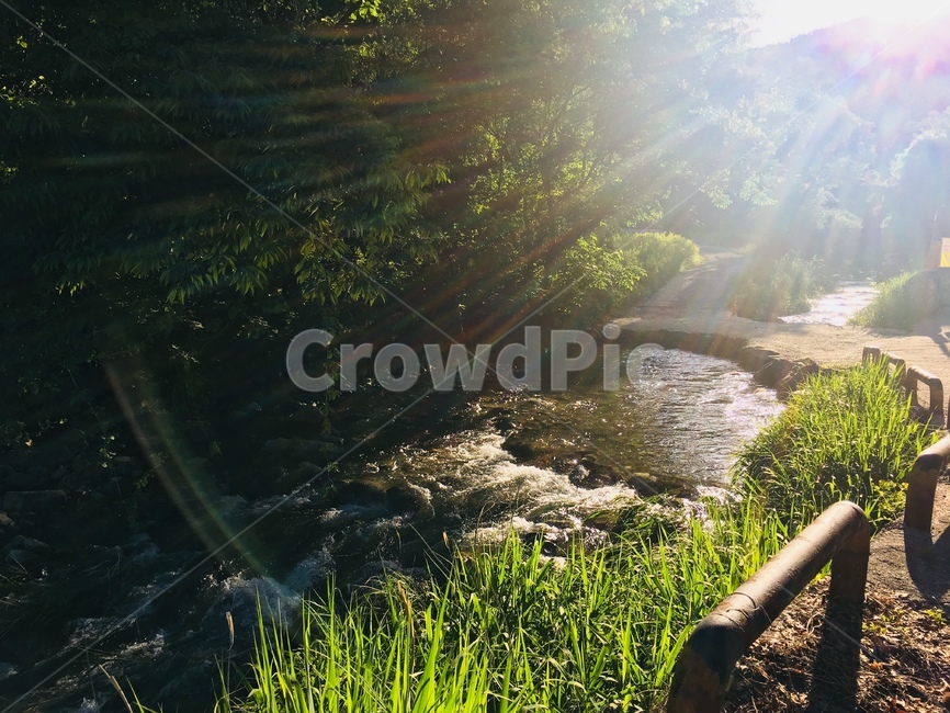 계곡,냇가,개울,개울가,valley,맑음,햇살,봄,여름,sunny,자연,풍경,nature,landscape,flare,플레어,light,빛,sunlight,햇빛