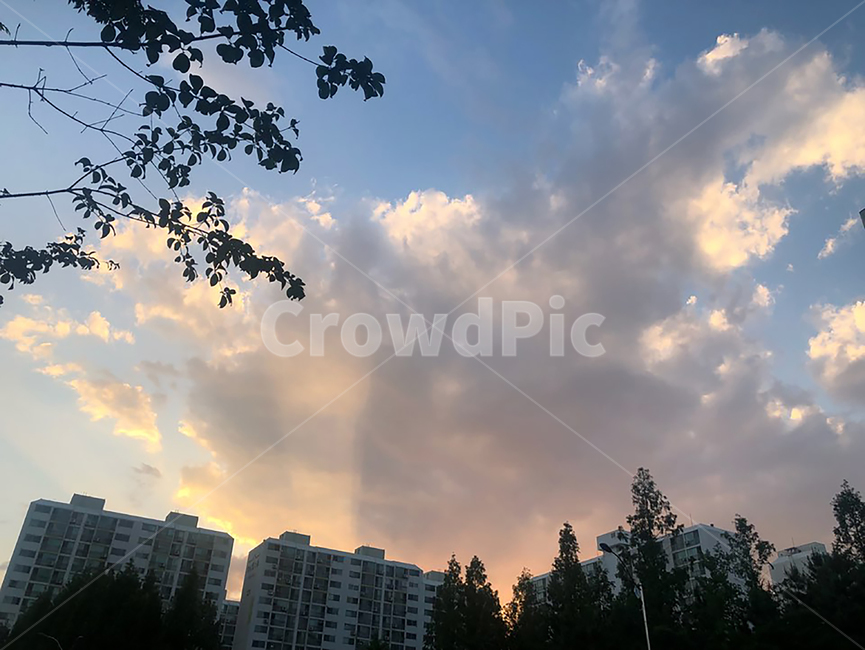 flare,outdoors,weather,날씨,옥외,플레어,light,sunlight,빛,sky,햇빛,nature,자연,길거리,아파트뷰,sunset