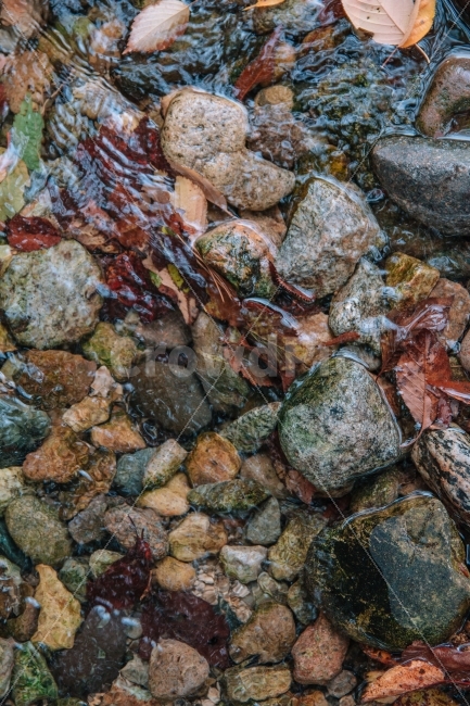 가을,낙엽,시냇물,자연,돌,풍경,감성,fall,autumn,가을,계절,fall,autumn,season,rubble,파편