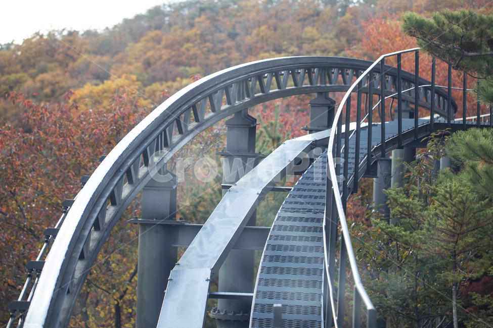 레일,모노레일,철로,교통,교통수단,이동수단,단풍,숲,화담숲,햇살,가을,계절,fall,autumn,season,교통,교통수단,traffic,transportation,handrail,난간,banister,railing