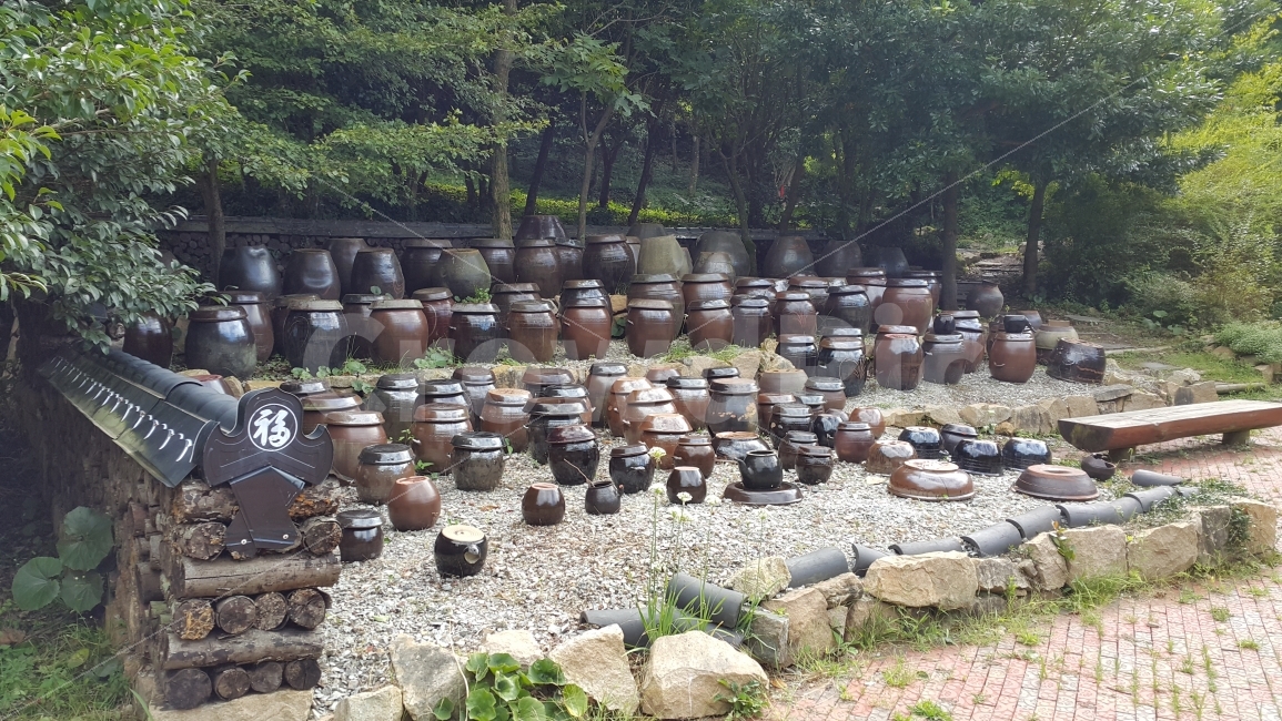 완도,수목원,장독대,여름,가을,풍경,여름,계절,summer,season,한국전통,한국문화,korean traditional,korean culture