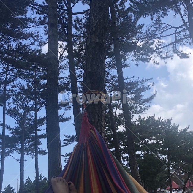 해먹,발가락,하늘,나무,여행