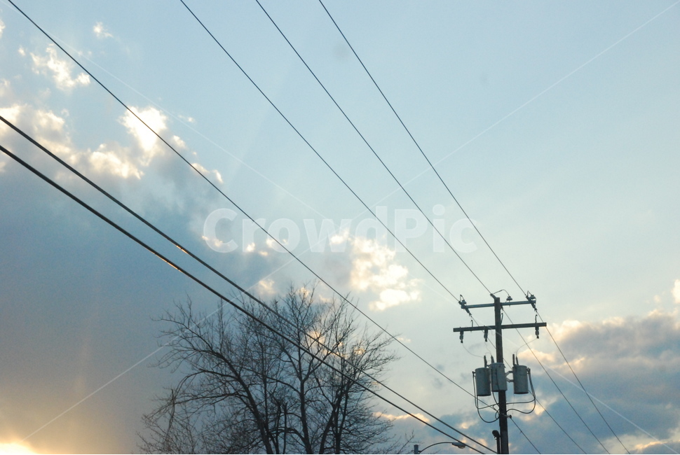 가을하늘,전신주,전봇대,하늘,빛,전선,나무,autumn,fall,electric,pole,sky,light,쓸쓸한,외로운,고독,solitude,lonely,구름,cloud,감성,emotion,느낌,feeling,앙상한,나무줄기,가지,대각선,diagonal,trunk,그리움,배경,background
