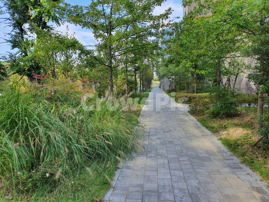 통로,path,flagstone,판석,나무,자연,길,잔디,푸름,치유,힐링,평온함,바람,구름,tree,heal,wind,cloud,자연,풍경,nature,landscape