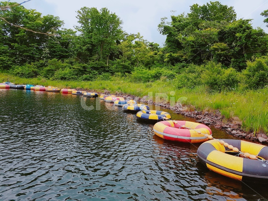 강,튜브,물놀이,나무,제주도,제주도풍경,고화질,초고화질,자연,풍경,nature,landscape,water,물