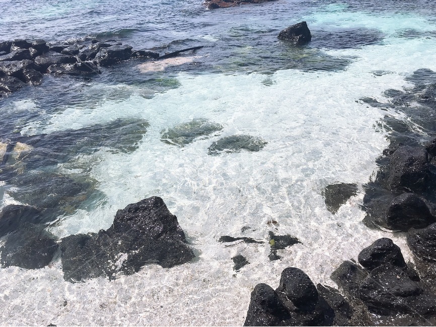 제주도해변,맑은물,제주바다,푸른물,바위,돌,투명한바다,제주도물,바다,검은돌,자연,풍경,nature,landscape,제주도,jeju,jeju island