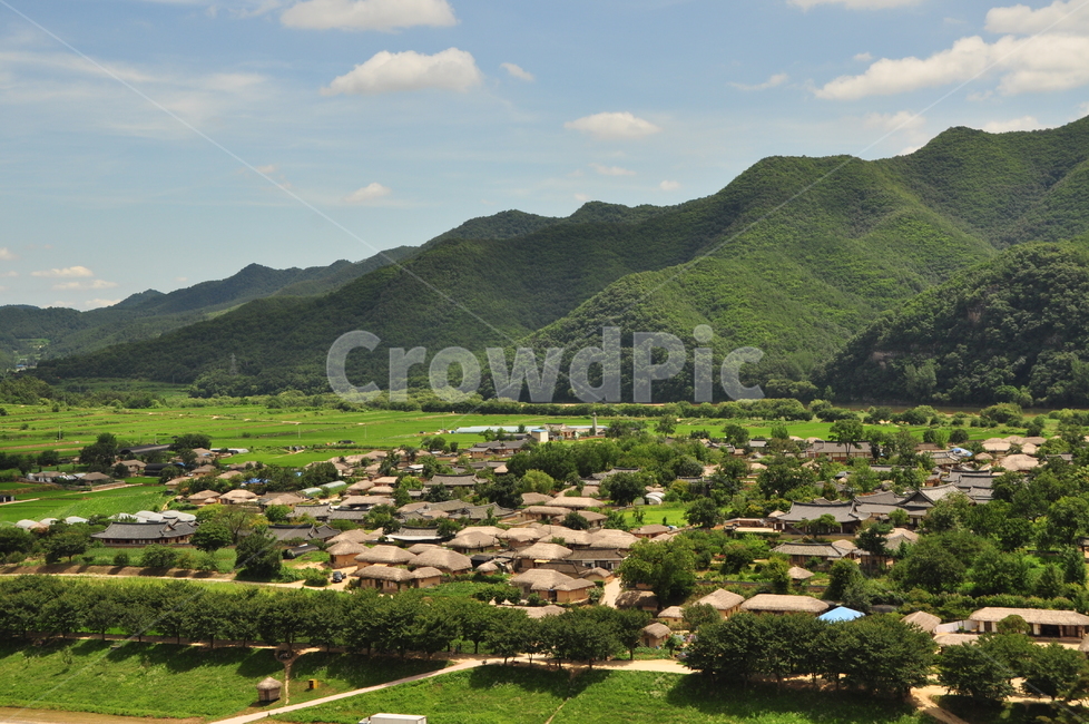 초가집,한옥집,전통,경치,여름,자연,풍경,nature,landscape,한국전통,한국문화,korean traditional,korean culture,outdoors,옥외,scenery