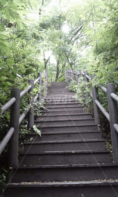 계단,산,등산,나무계단,인왕산,garden,숲,forest,서울