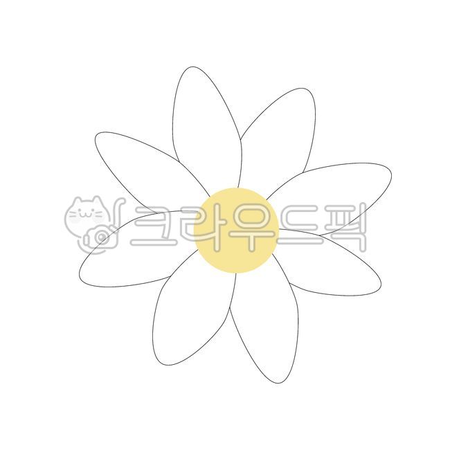 꽃,데이지,봄,데이지꽃,노란꽃