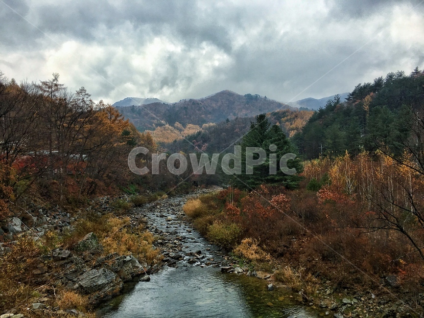 가을,낙엽,산,나무,단풍,자연,풍경,하늘,시냇물,강