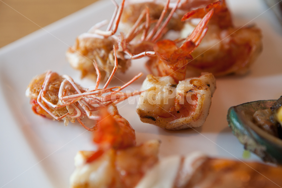 food,음식,meal,식사,dish,요리,철판구이,한식,일식,양식,새우구이,연어구이,스테이크,음식,식재료,요리,food,cook,meal,dishes,food reserves