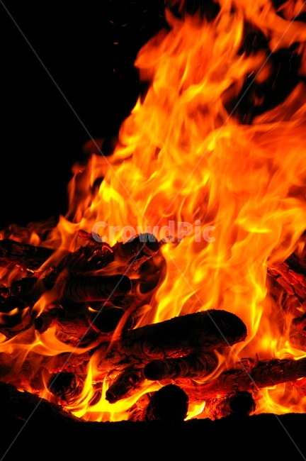 나무,fire,밤,야외,저녁,불,불꽃,모닥불,캠프파이어