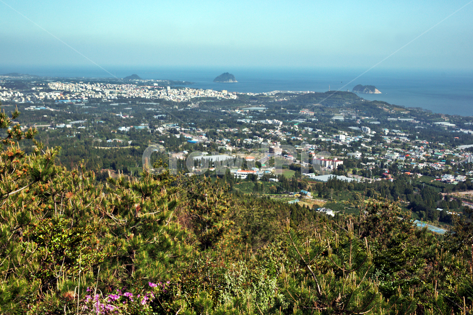제주,서귀포,올레71코스,올레길,중산간,고근산,바다,범섬,서귀포시,자연,풍경,nature,landscape,경치,outdoors,옥외,scenery,aerial view,조감도,plant,식물,tree,나무