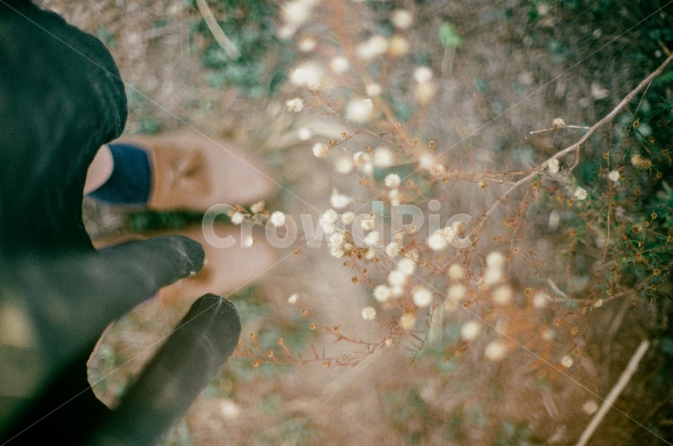 가을,구두,산책,공원,꽃,발,가을,계절,fall,autumn,season,사람,인물,인간,human,person,패션스타일,의상,fashion,style,감성,sensible,feeling