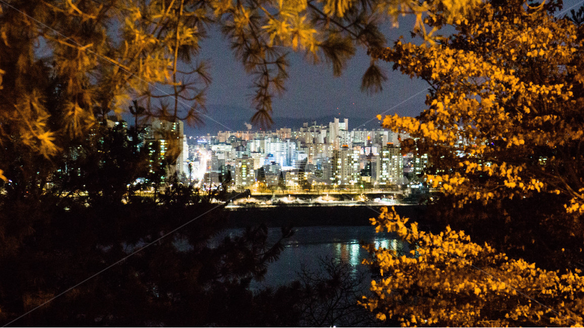 야경,서울,한강,밤,도심,야경,밤,풍경,nightscape,night,landscape,도시,city,한국도시풍경,한국도시경관,korea cityscape,plant,식물,tree,나무
