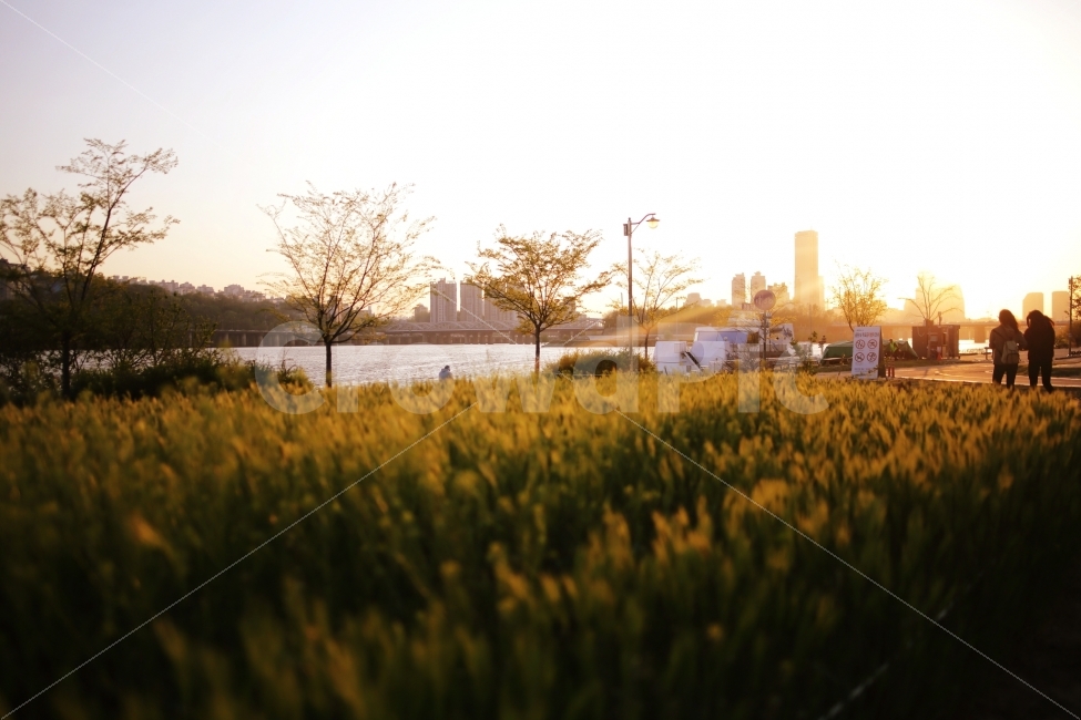 이촌한강,노을,해질녘,감성,휴가,한강,봄,sunset,이촌한강공원,공원,서울,이촌,자연,풍경,nature,landscape,휴식,힐링,rest,relaxation,healing,도시,city,plant,식물,grass,잔디
